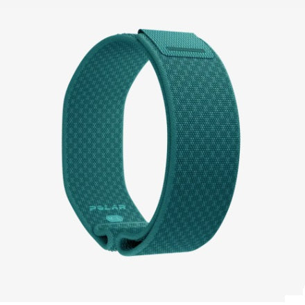 CORREA POLAR Loop